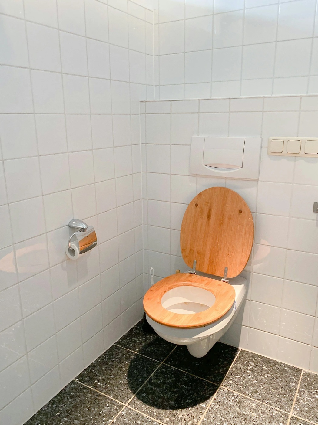 Haemorrhoid Embolisation